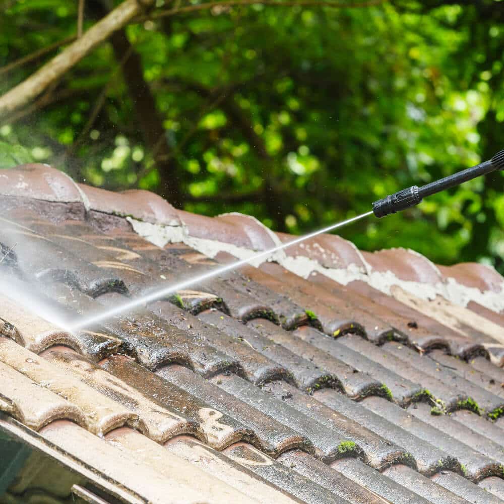 Roof Cleaning